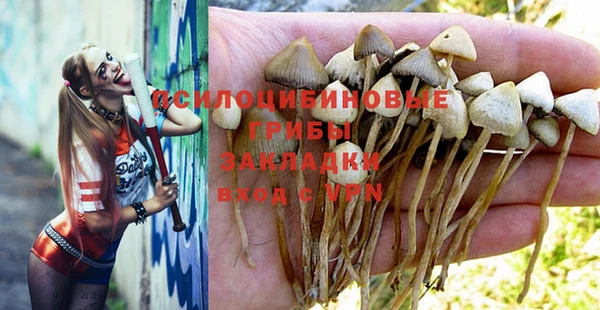СК Осинники