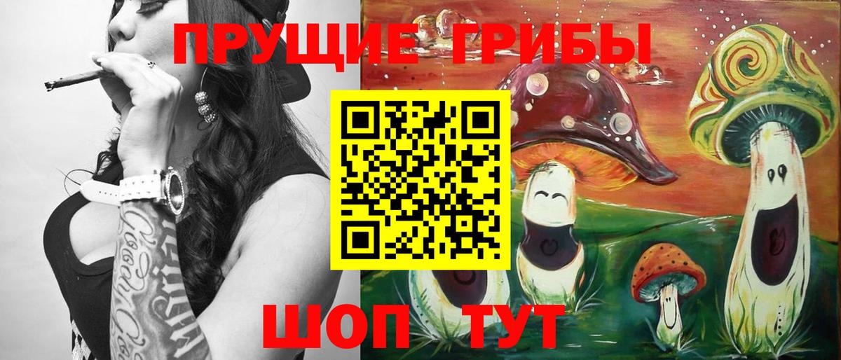 Солнечногорск  Псилоцибиновые грибы мухоморы  Вход с VPN 